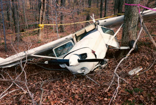 Wings Program
